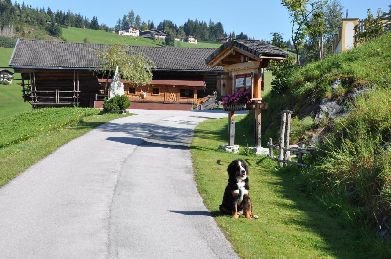 DAS ZwisleggGut Wagrain Exterior foto